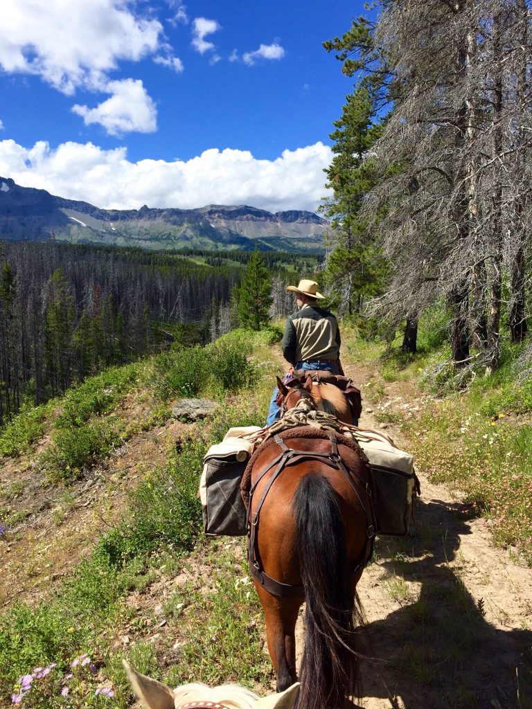 Backcountry Horse Packing Apgar View Ranch